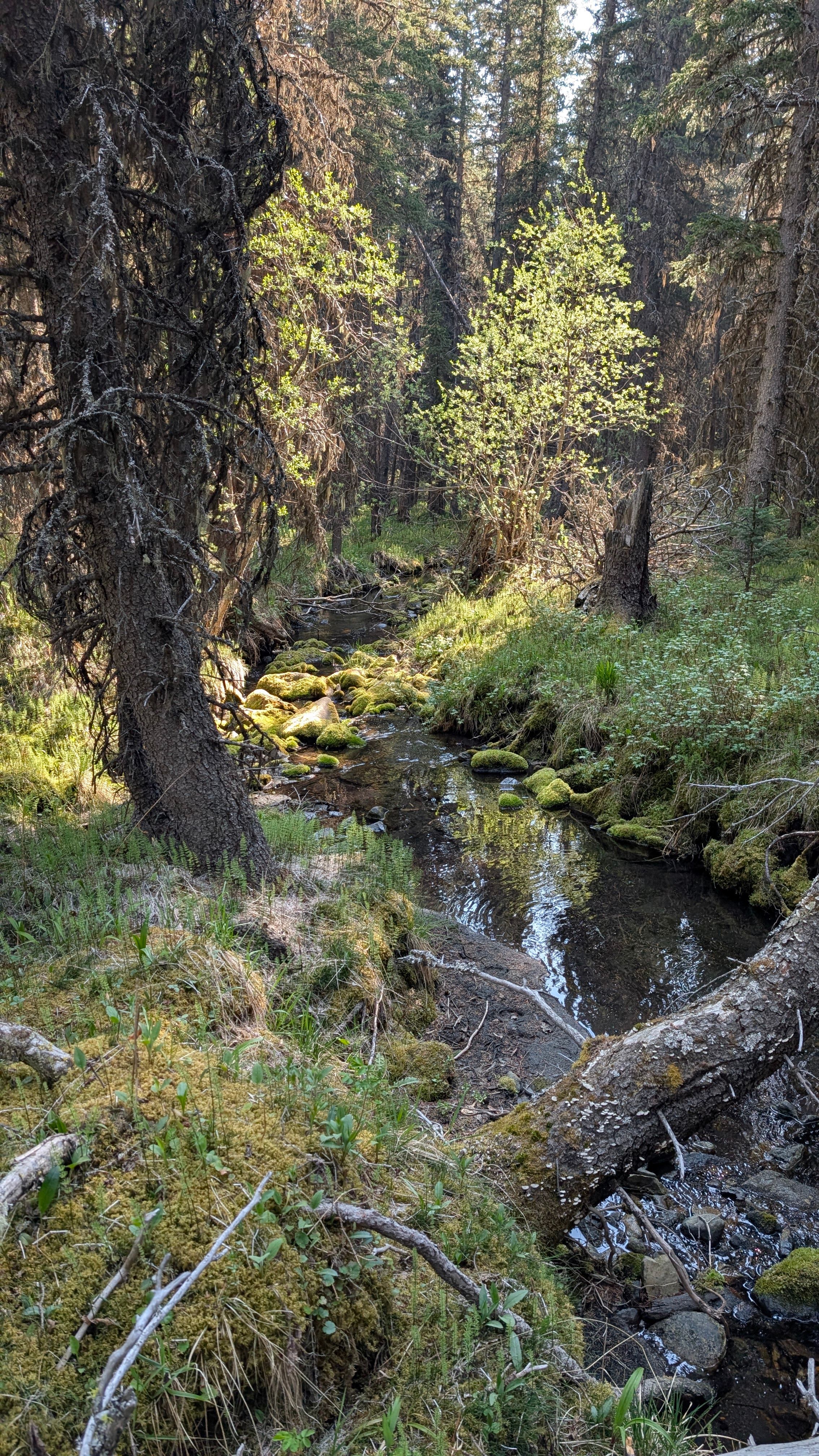 Low Impact Day Hike